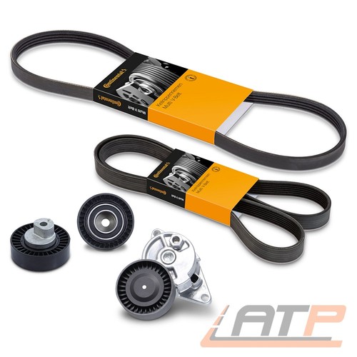 Conti keilrippenriemen - 2x,